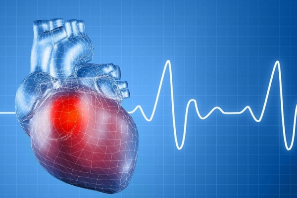 Người bị cường giáp thường có biểu hiện nhịp tim nhanh